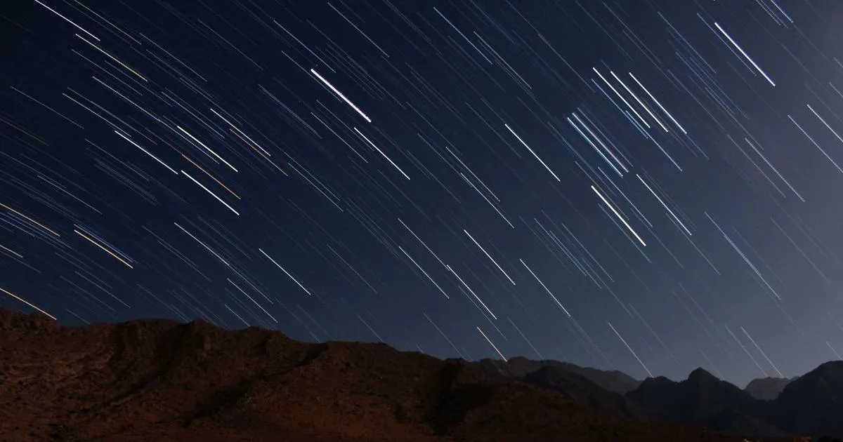 La saison 2 d Alien : Earth pourrait renouer avec les racines du premier film culte de la saga