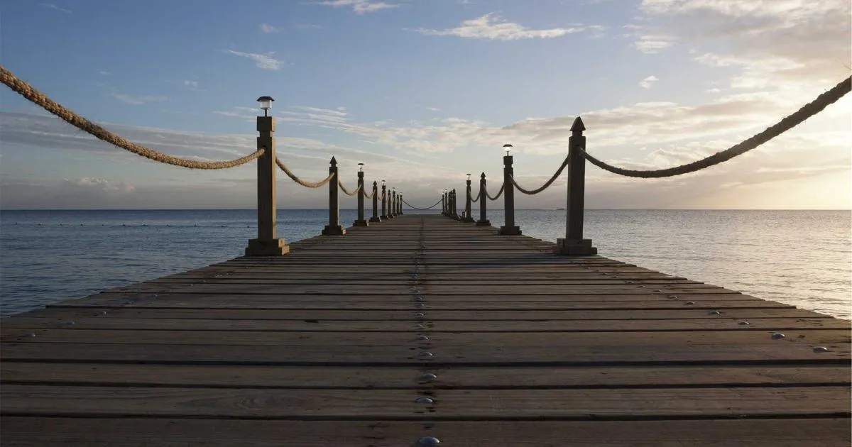 Les 5 logiciels incontournables pour le motion design en 2023