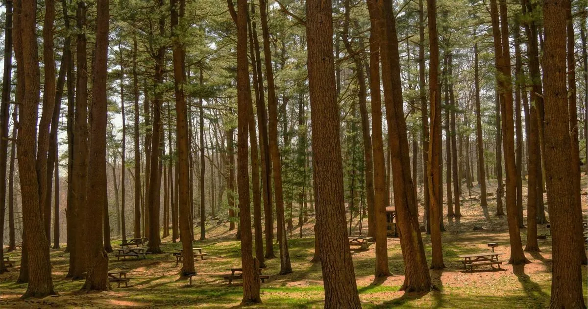 Pourquoi le grand Mendes est-il devenu une référence incontournable ?